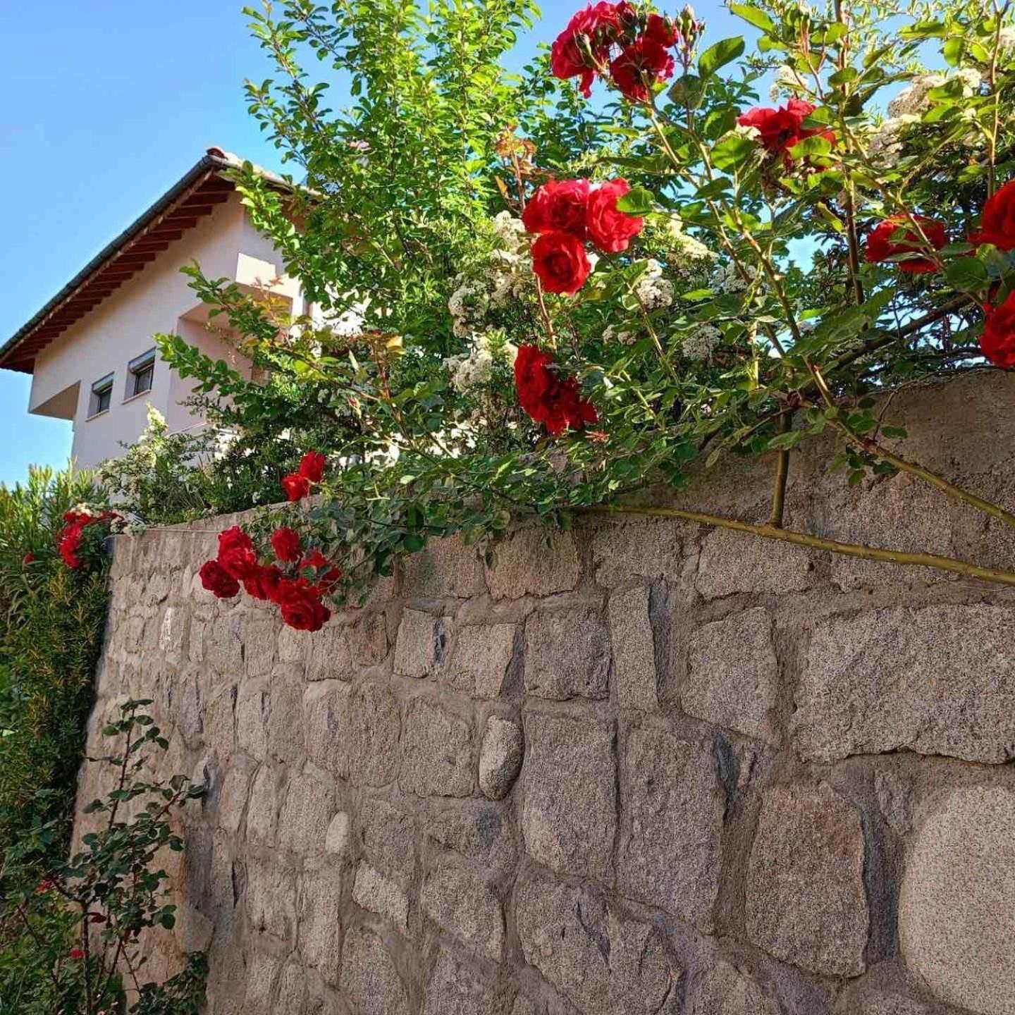 Pirin Private Houses Sandanski Exterior photo